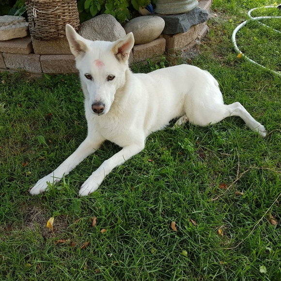 Meet your Posher, Jillian - Picture 1 of 1